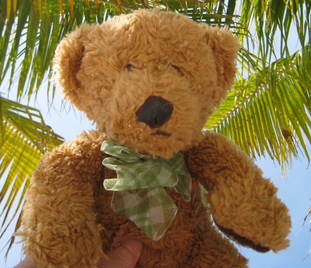 Bear with me–Teddy Bear, that is!