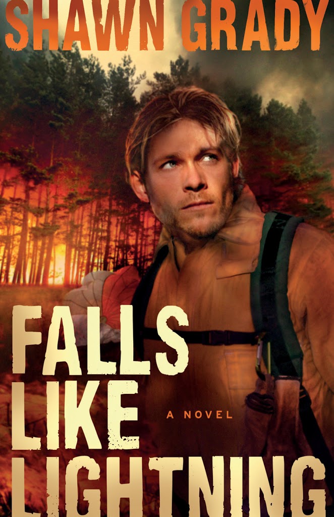 Friday Book Pick: Falls Like Lightning by Shawn Grady