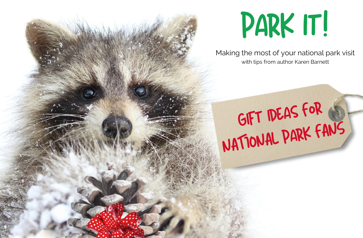 PARK IT: Gift Ideas for National Park Fans