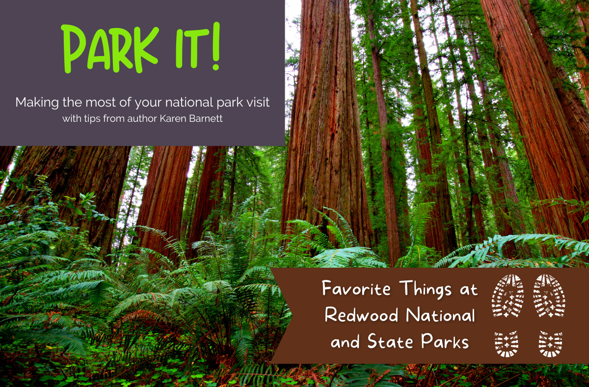 Redwood National and State Parks: My Favorite Things