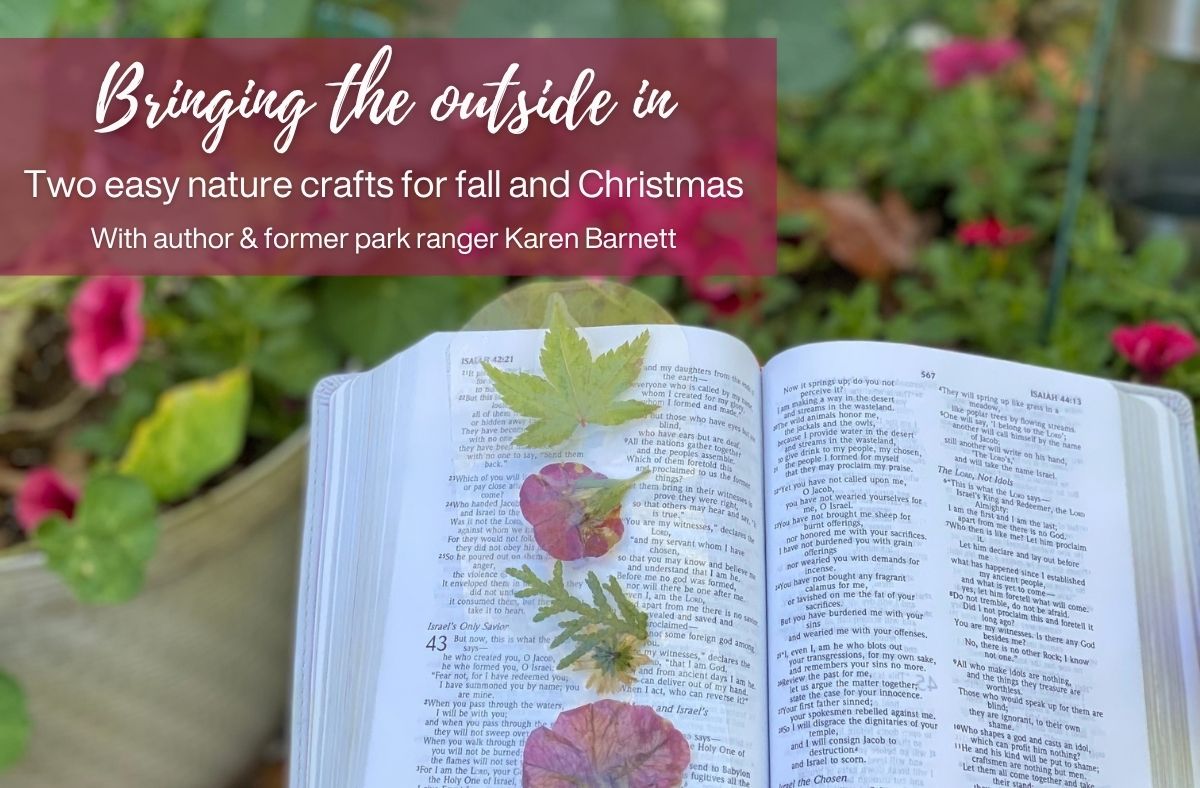 Bringing the Outside In: Two Easy Nature Crafts for Fall and Christmas